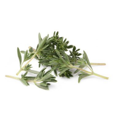 Thyme White Essential Oil Wholesale
